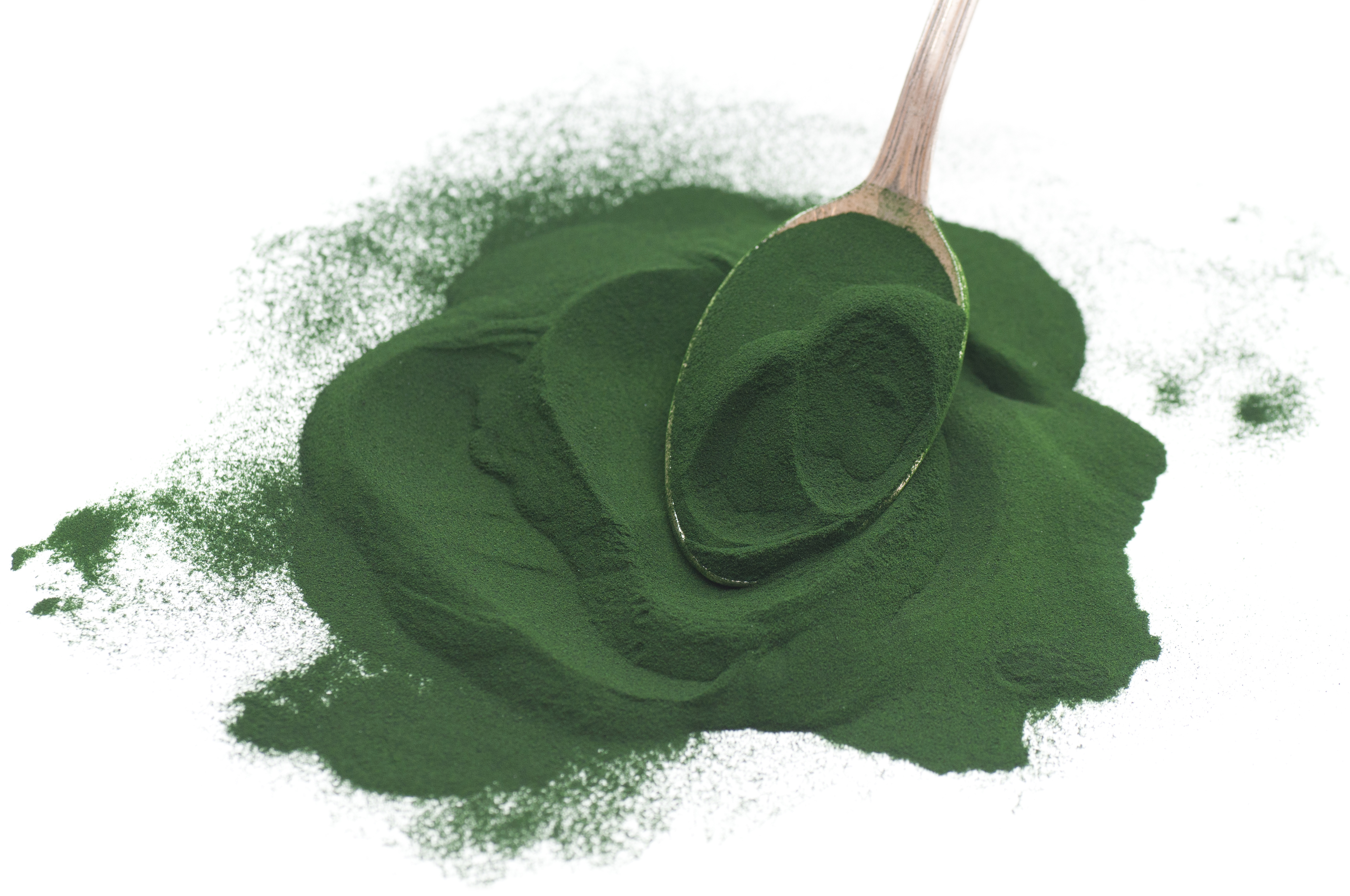 Image result for crushed spirulina powder