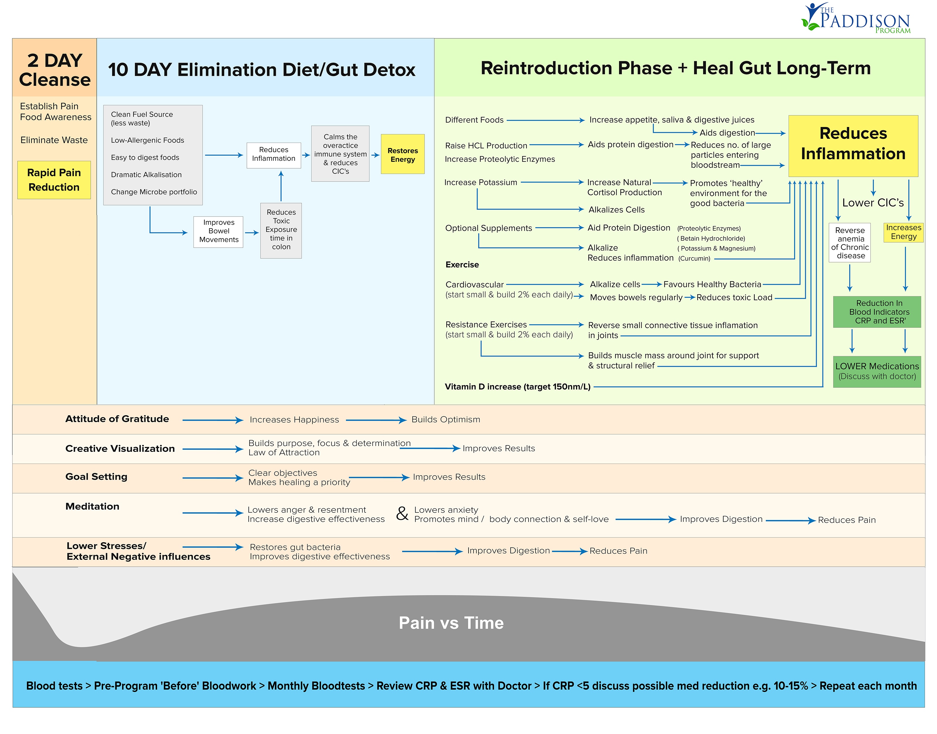 Flowchart Blueprint  The Paddison Program for Rheumatoid 